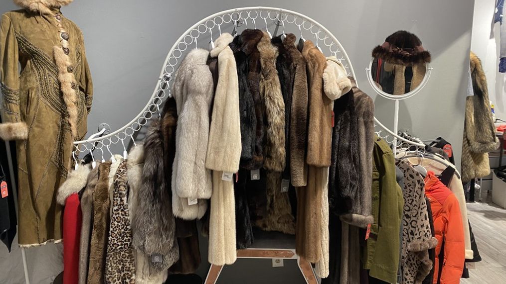 15 Best Thrift Stores Near Me in 2026: Local Gems for Designer Finds and Vintage Treasures